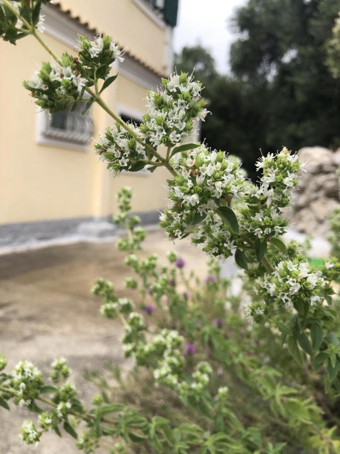 شقة Mariza'S View House Lákones المظهر الخارجي الصورة